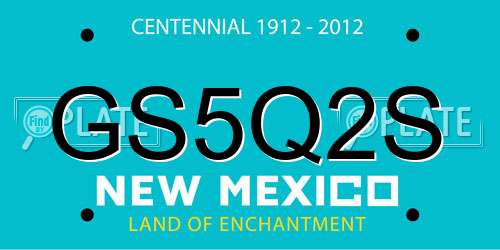 GS5Q2S New Mexico License Plate