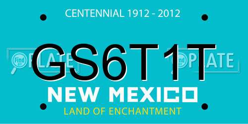 GS6T1T New Mexico License Plate
