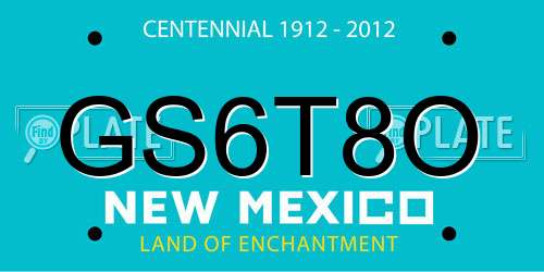 GS6T8O New Mexico License Plate