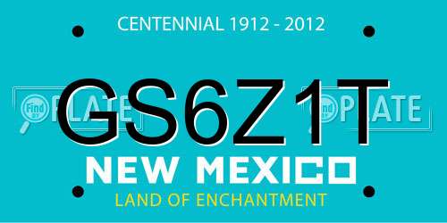 GS6Z1T New Mexico License Plate