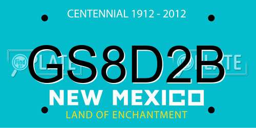 GS8D2B New Mexico License Plate