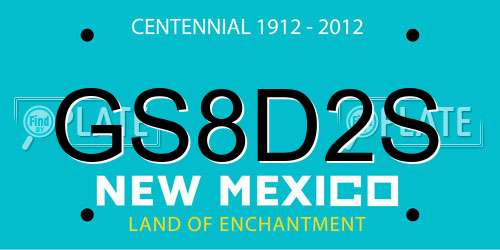 GS8D2S New Mexico License Plate