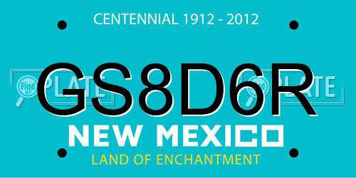GS8D6R New Mexico License Plate