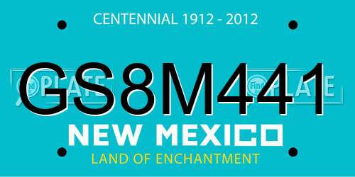 GS8M441 New Mexico License Plate