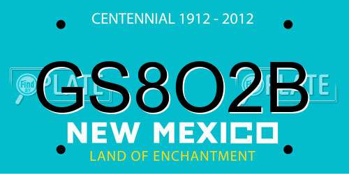 GS8O2B New Mexico License Plate
