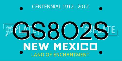 GS8O2S New Mexico License Plate