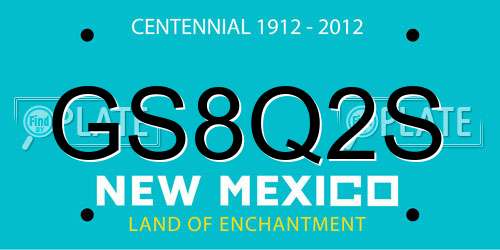 GS8Q2S New Mexico License Plate