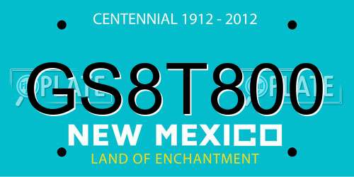 GS8T800 New Mexico License Plate
