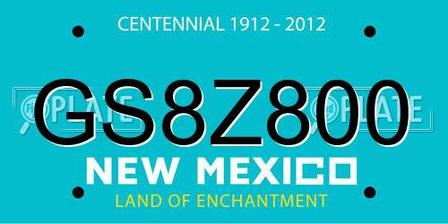 GS8Z800 New Mexico License Plate