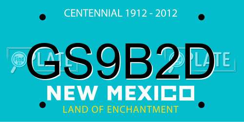 GS9B2D New Mexico License Plate
