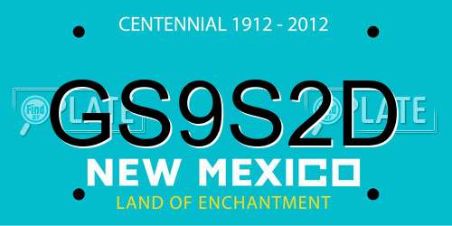 GS9S2D New Mexico License Plate