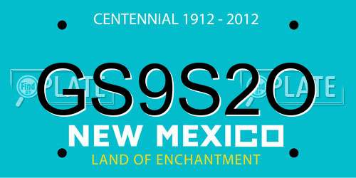 GS9S2O New Mexico License Plate