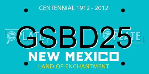 GSBD25 New Mexico License Plate