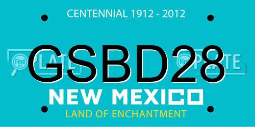 GSBD28 New Mexico License Plate