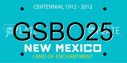GSBO25 New Mexico License Plate