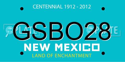 GSBO28 New Mexico License Plate