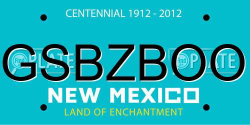 GSBZBOO New Mexico License Plate