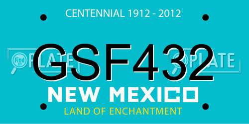 GSF432 New Mexico License Plate