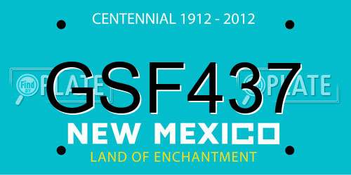 GSF437 New Mexico License Plate