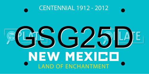 GSG25D New Mexico License Plate
