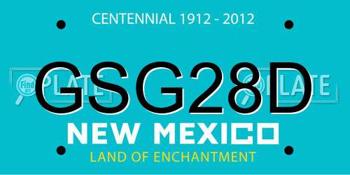 GSG28D New Mexico License Plate