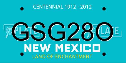 GSG28O New Mexico License Plate