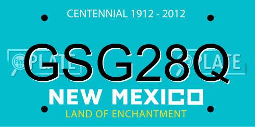 GSG28Q New Mexico License Plate