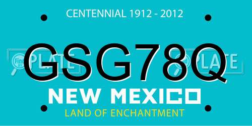 GSG78Q New Mexico License Plate