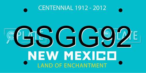 GSGG92 New Mexico License Plate