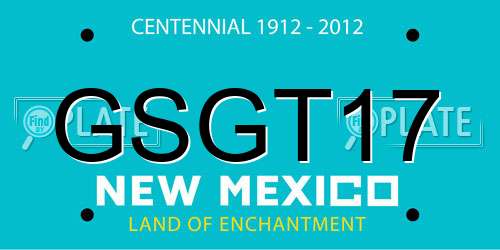 GSGT17 New Mexico License Plate