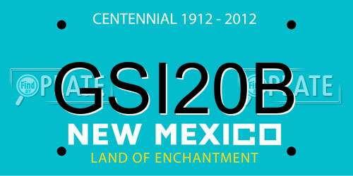 GSI20B New Mexico License Plate