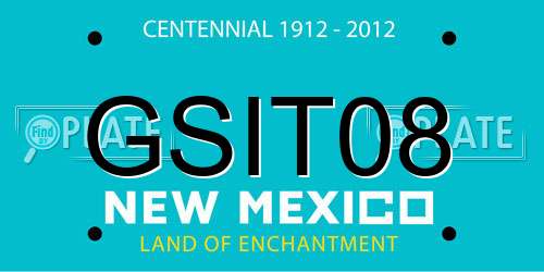 GSIT08 New Mexico License Plate