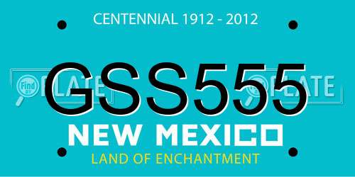 GSS555 New Mexico License Plate