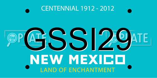 GSSI29 New Mexico License Plate