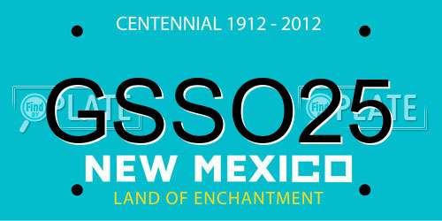 GSSO25 New Mexico License Plate