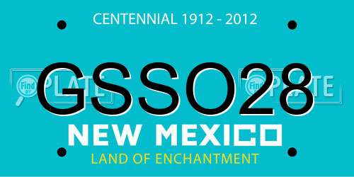 GSSO28 New Mexico License Plate