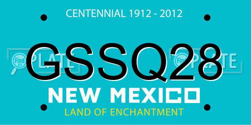 GSSQ28 New Mexico License Plate