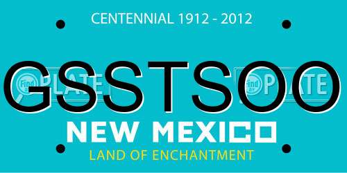 GSSTSOO New Mexico License Plate