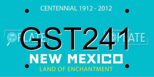 GST241 New Mexico License Plate