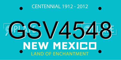GSV4548 New Mexico License Plate