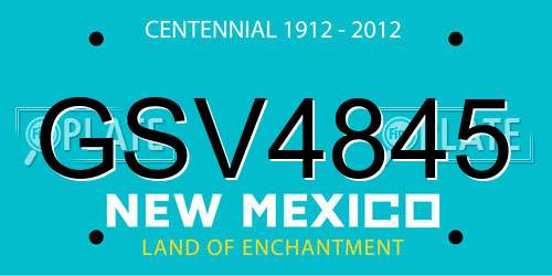 GSV4845 New Mexico License Plate