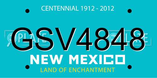 GSV4848 New Mexico License Plate