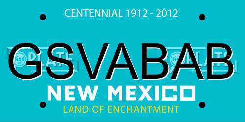 GSVABAB New Mexico License Plate