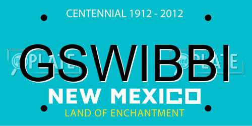 GSWIBBI New Mexico License Plate