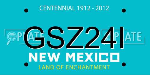 GSZ24I New Mexico License Plate