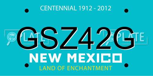 GSZ42G New Mexico License Plate