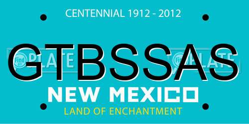 GTBSSAS New Mexico License Plate