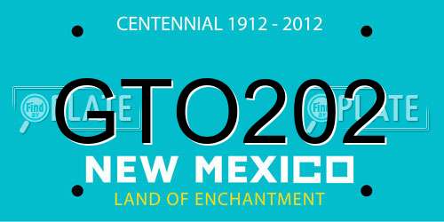 GTO202 New Mexico License Plate