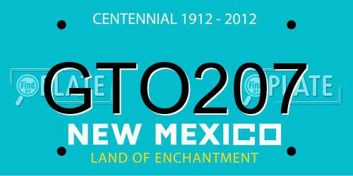GTO207 New Mexico License Plate