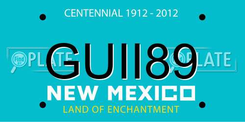 GUII89 New Mexico License Plate